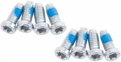 SRAM Kit De Vis De Manivelle Direct Mount/AXS Spider T20